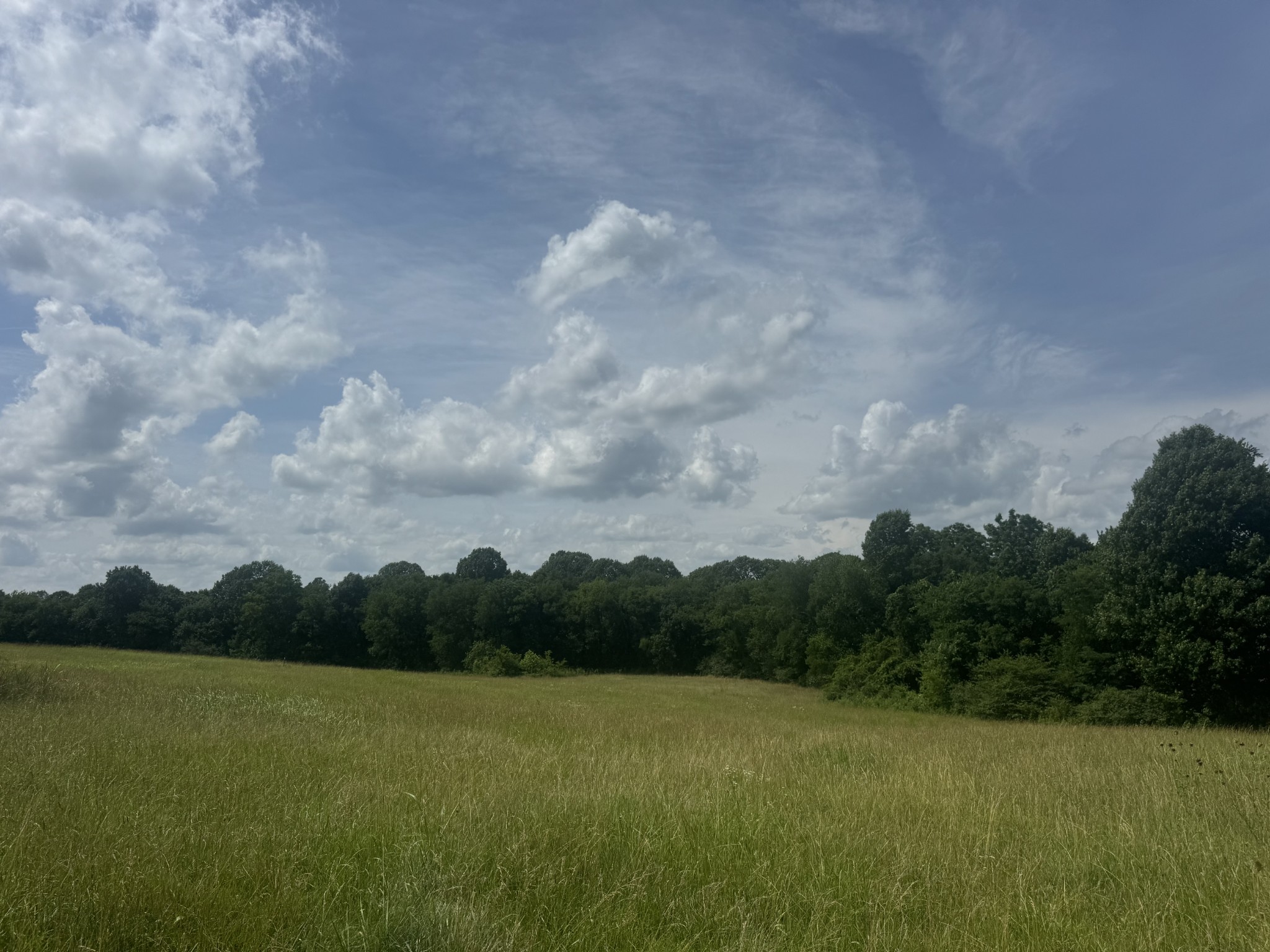 210 Wheel Road Shelbyville, TN 37160 - Photo 1 of 19