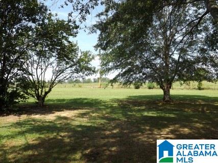 168 Jay Street Cleveland, AL 35049 - Photo 15 of 46