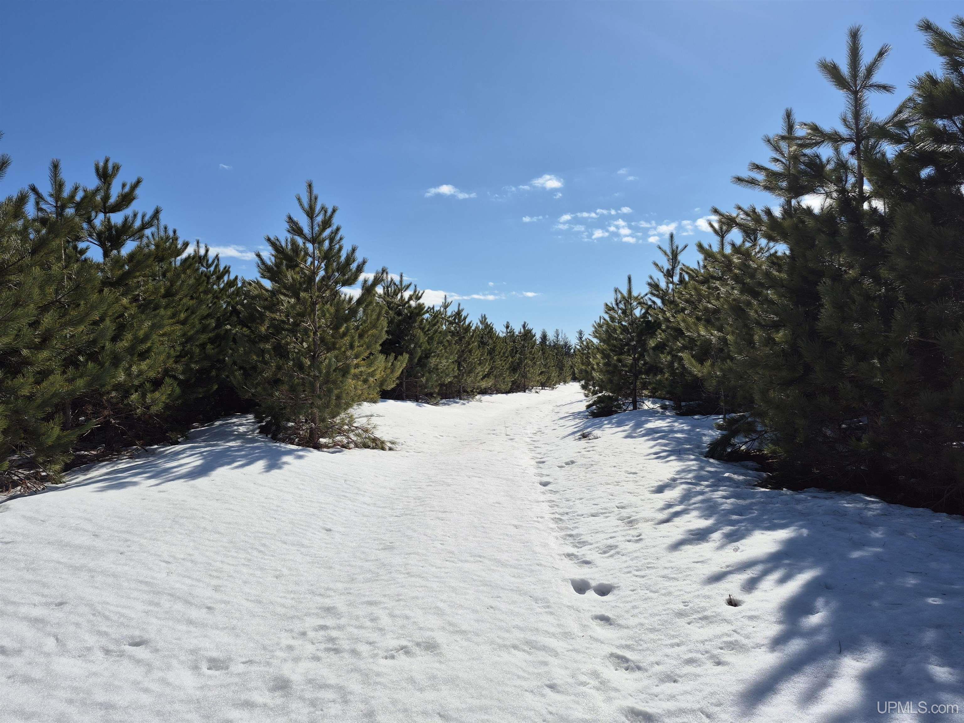 40-acres Off Flodin Road Manistique, MI 49854 - Photo 5 of 23