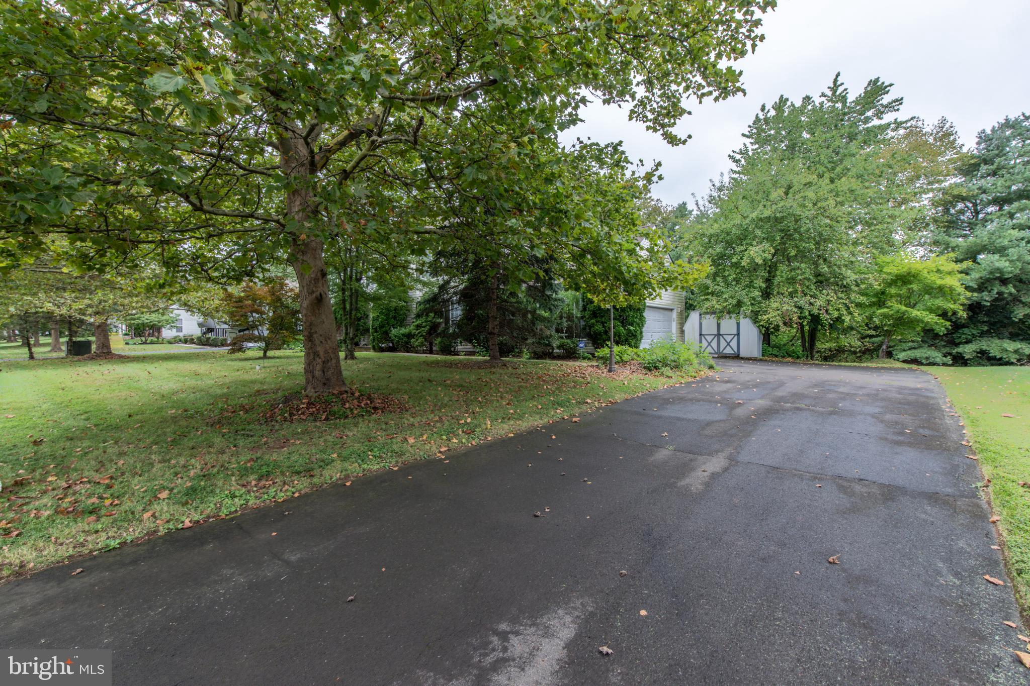 5184 Lovering Drive Doylestown, PA 18902 - Photo 50 of 51 a view of a yard with large tree