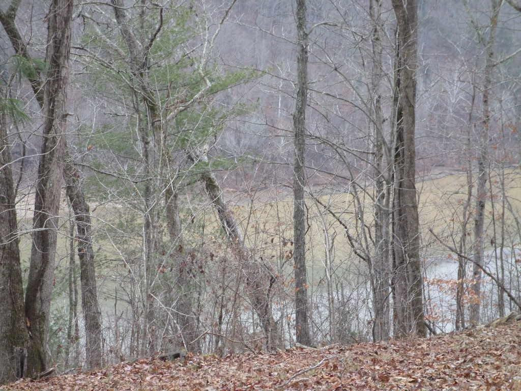 193 Running Rdg Road Frenchburg, KY 40322 - Photo 6 of 22 Photo 6