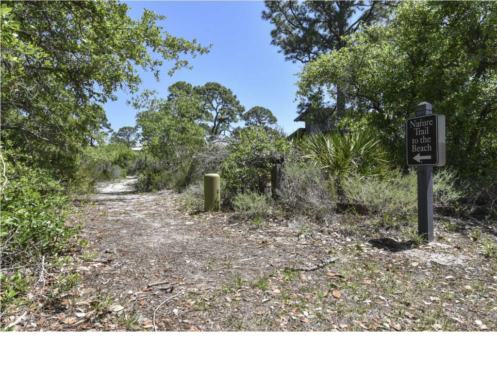 1480 Blueberry Road Eastpoint, FL 32328 - Photo 40 of 40