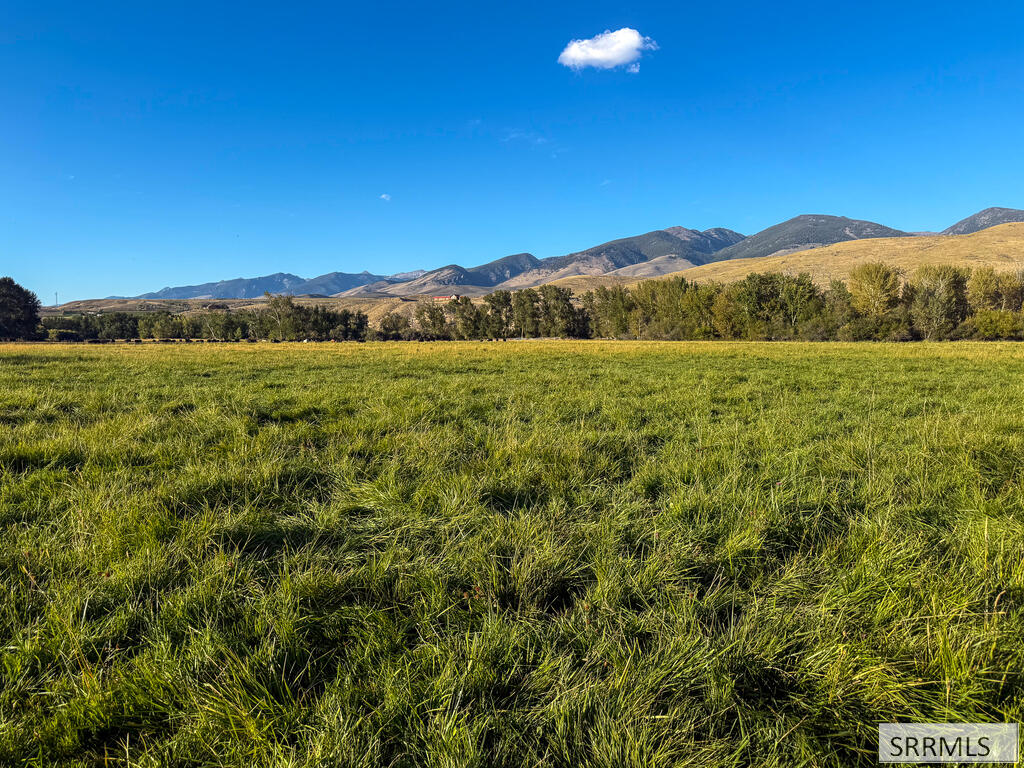 1705 Lemhi Road Salmon, ID 83467 - Photo 113 of 149 Gallery Image 113