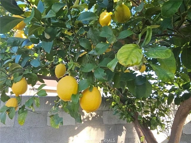 $549,900 | 2637 Mirada Street, Highland, CA 92346