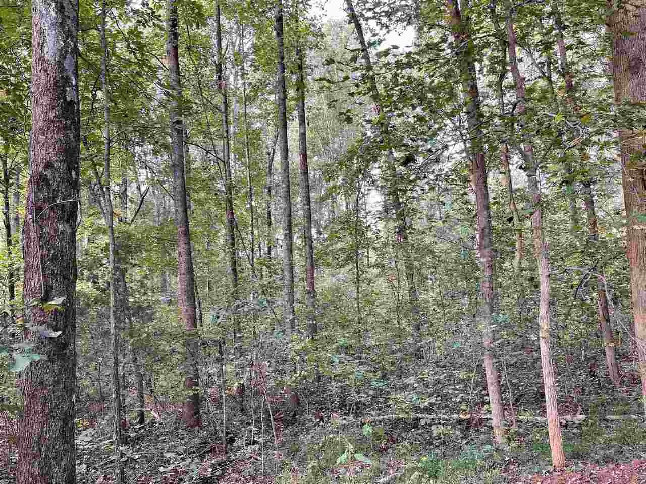 0 Cedar Ridge Road Commerce, GA 30530 - Photo 1 of 1 a view of forest