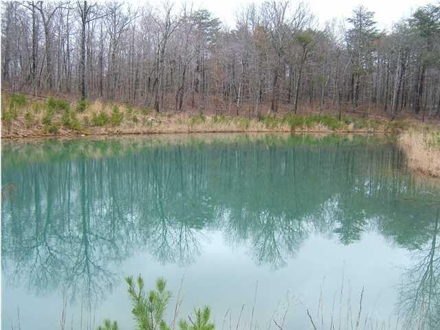 1198 Woods Road Dunlap, TN 37327 - Photo 25 of 26 Gallery Image 25