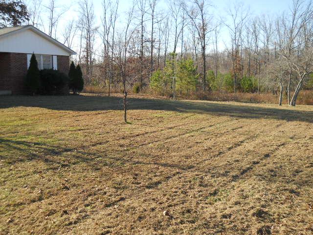 6780 Primm Springs Road Lyles, TN 37098 - Photo 2 of 14 Large front yard