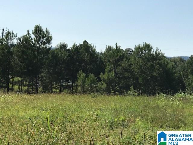 9 Easy Street, Unit 1 Anniston, AL 36207 - Photo 8 of 20