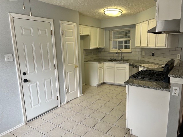 24010 Lone Elm Drive Spring, TX 77373 - Photo 2 of 9 Gallery Image 2