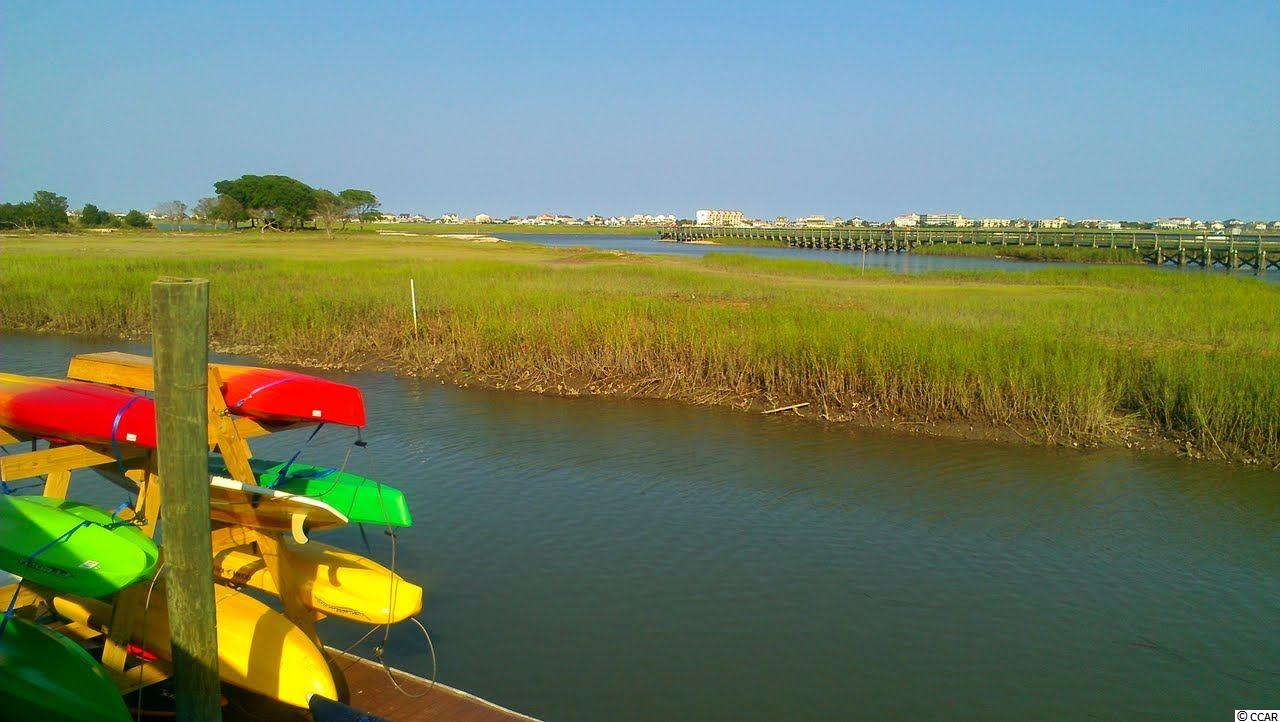 435 Arlington Circle, Unit 435 Murrells Inlet, SC 29576 - Photo 34 of 40 Gallery Image 34