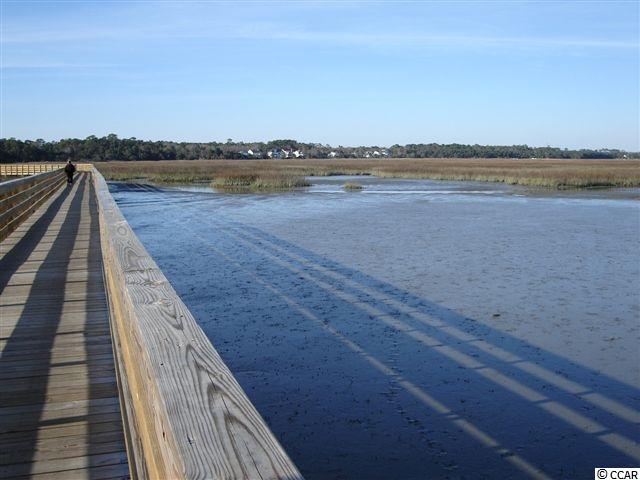 435 Arlington Circle, Unit 435 Murrells Inlet, SC 29576 - Photo 35 of 40 Gallery Image 35