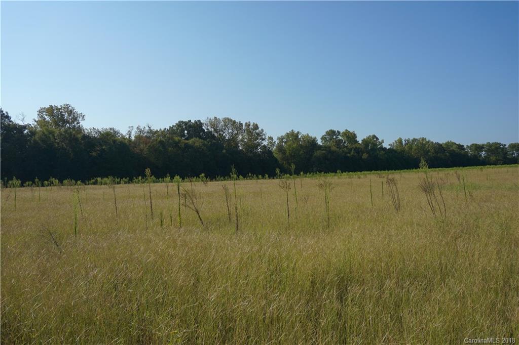 7.23-ac Booney Road Rock Hill, SC 29730 - Photo 3 of 12