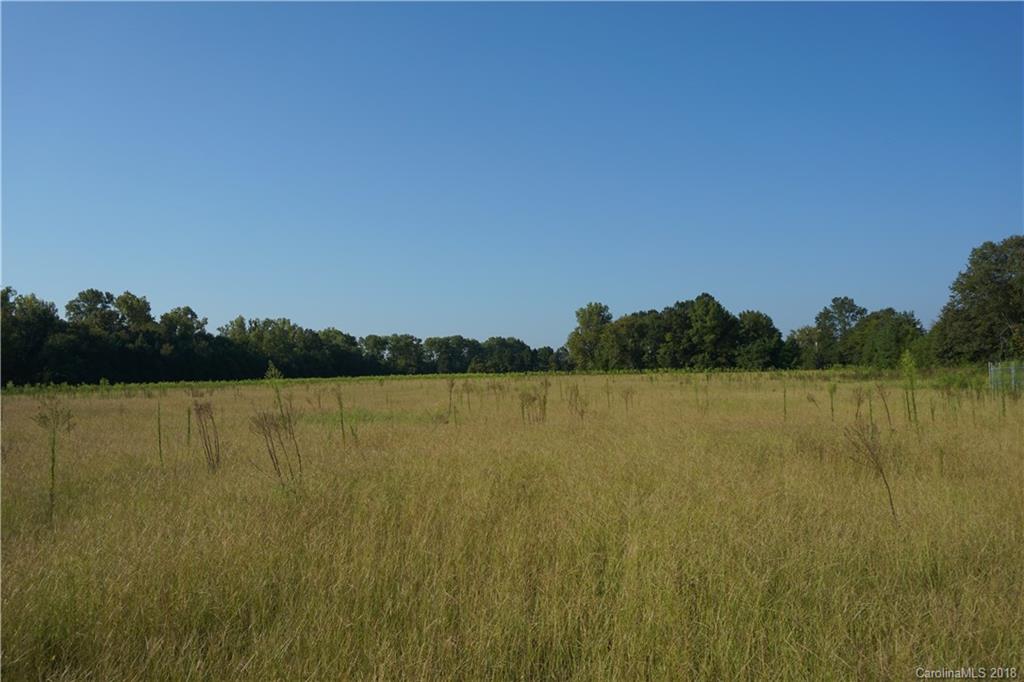 7.23-ac Booney Road Rock Hill, SC 29730 - Photo 4 of 12