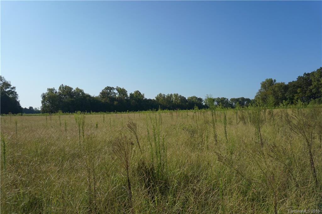7.23-ac Booney Road Rock Hill, SC 29730 - Photo 5 of 12