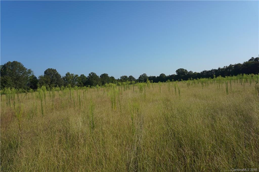 7.23-ac Booney Road Rock Hill, SC 29730 - Photo 6 of 12