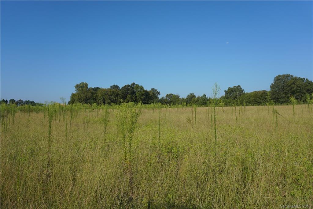 7.23-ac Booney Road Rock Hill, SC 29730 - Photo 9 of 12