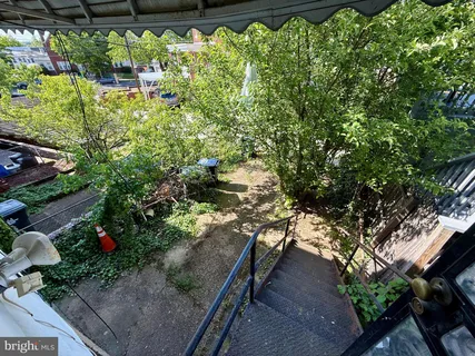a view of a garden with plants