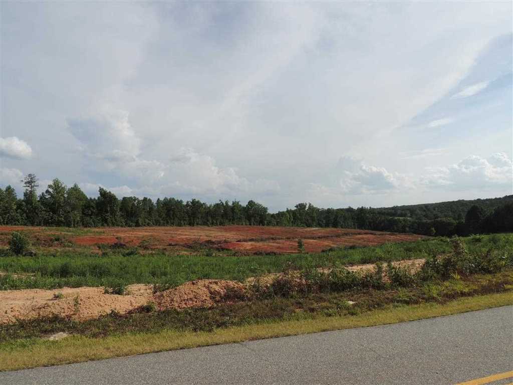 0 Brown Road, Unit TINY MCCONNELL ROAD Starr, SC 29684 - Photo 3 of 14