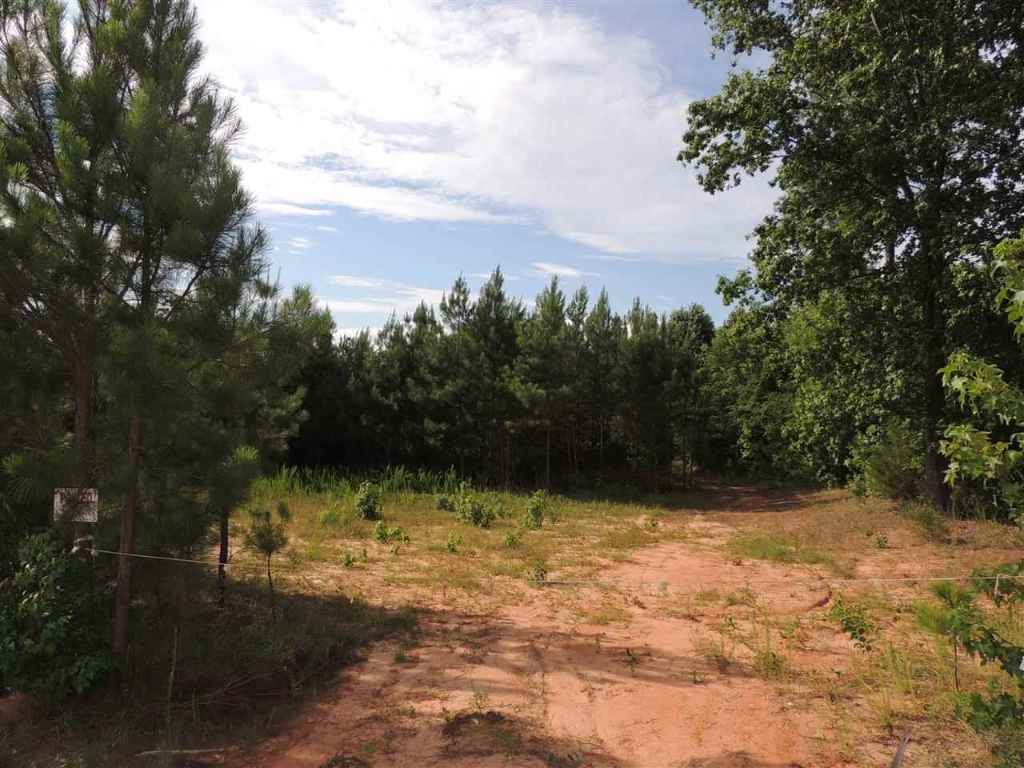0 Brown Road, Unit TINY MCCONNELL ROAD Starr, SC 29684 - Photo 6 of 14