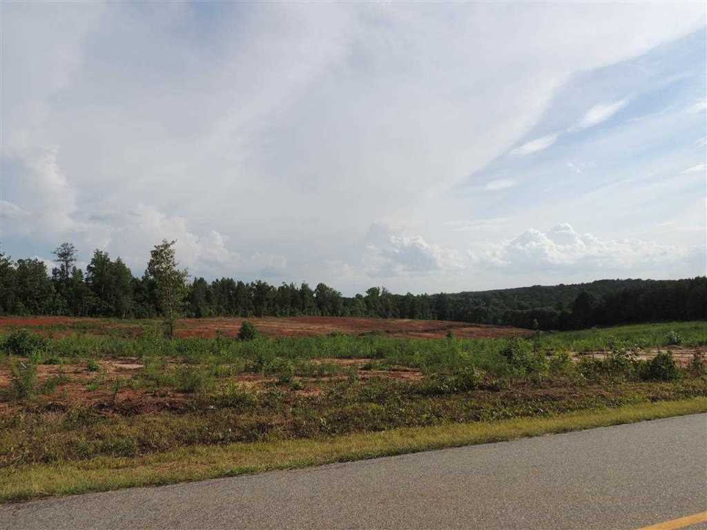 0 Brown Road, Unit TINY MCCONNELL ROAD Starr, SC 29684 - Photo 7 of 14