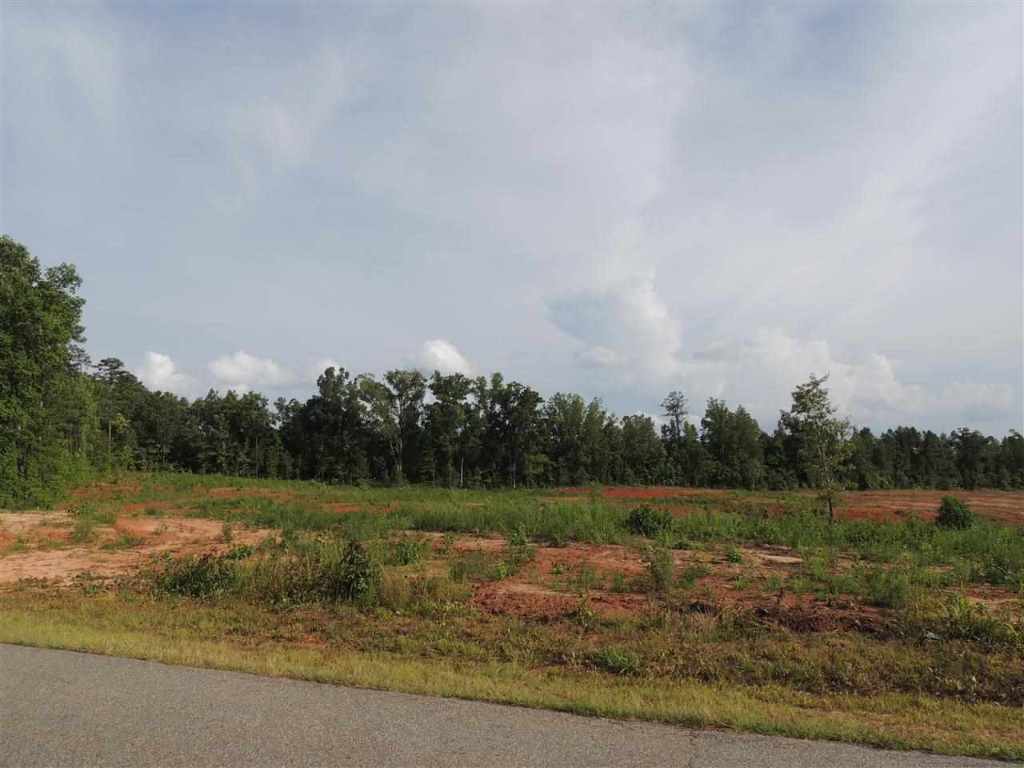 0 Brown Road, Unit TINY MCCONNELL ROAD Starr, SC 29684 - Photo 8 of 14