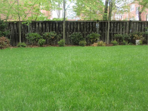 21 Glenland Road, Unit 2 Chestnut Hill, MA 02467 - Photo 29 of 30 a view of garden with wooden fence