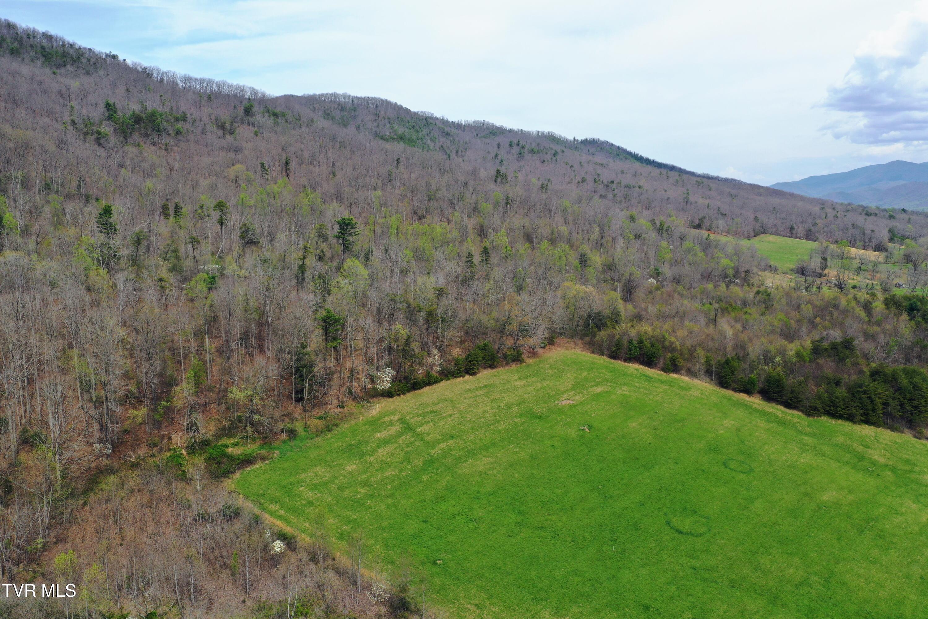 3a Rd Greeneville Tn 37743 Road Greeneville, TN 37743 - Photo 14 of 14 IMG_004