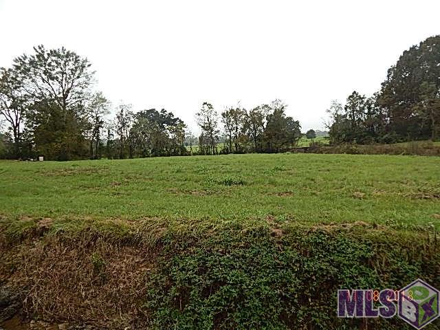 18399 Little Prairie Road Prairieville, LA 70769 - Photo 1 of 1 Gallery Image 1