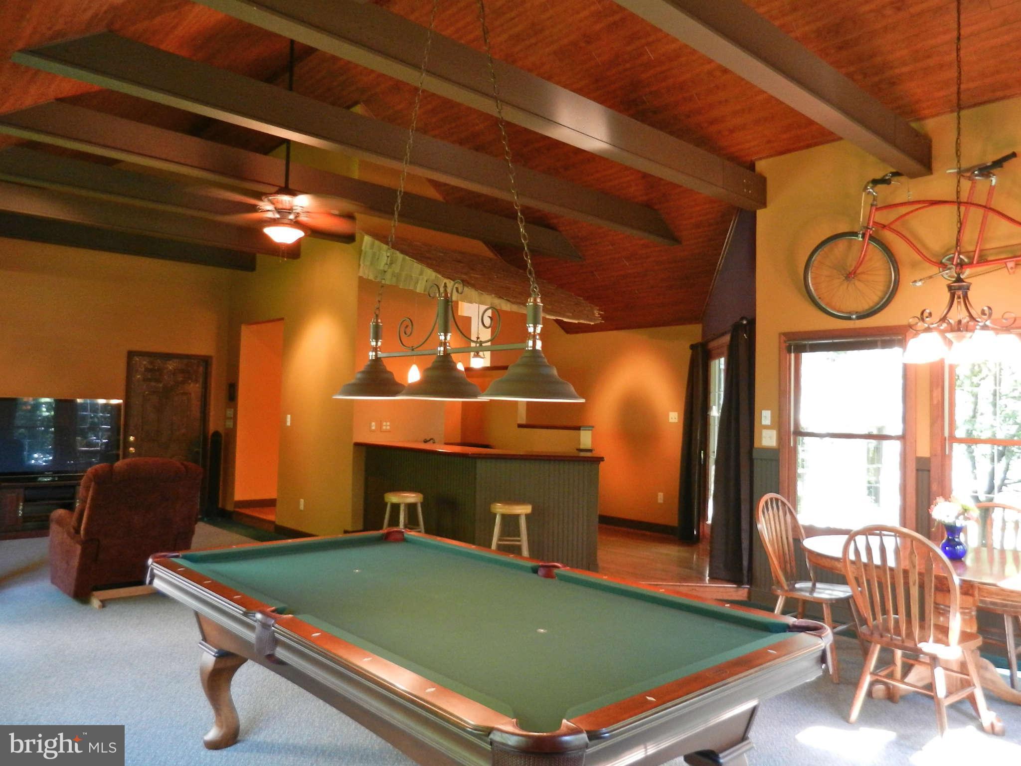 13334 Point Rider Lane Oak Hill, VA 20171 - Photo 8 of 30 Entertainment Room
