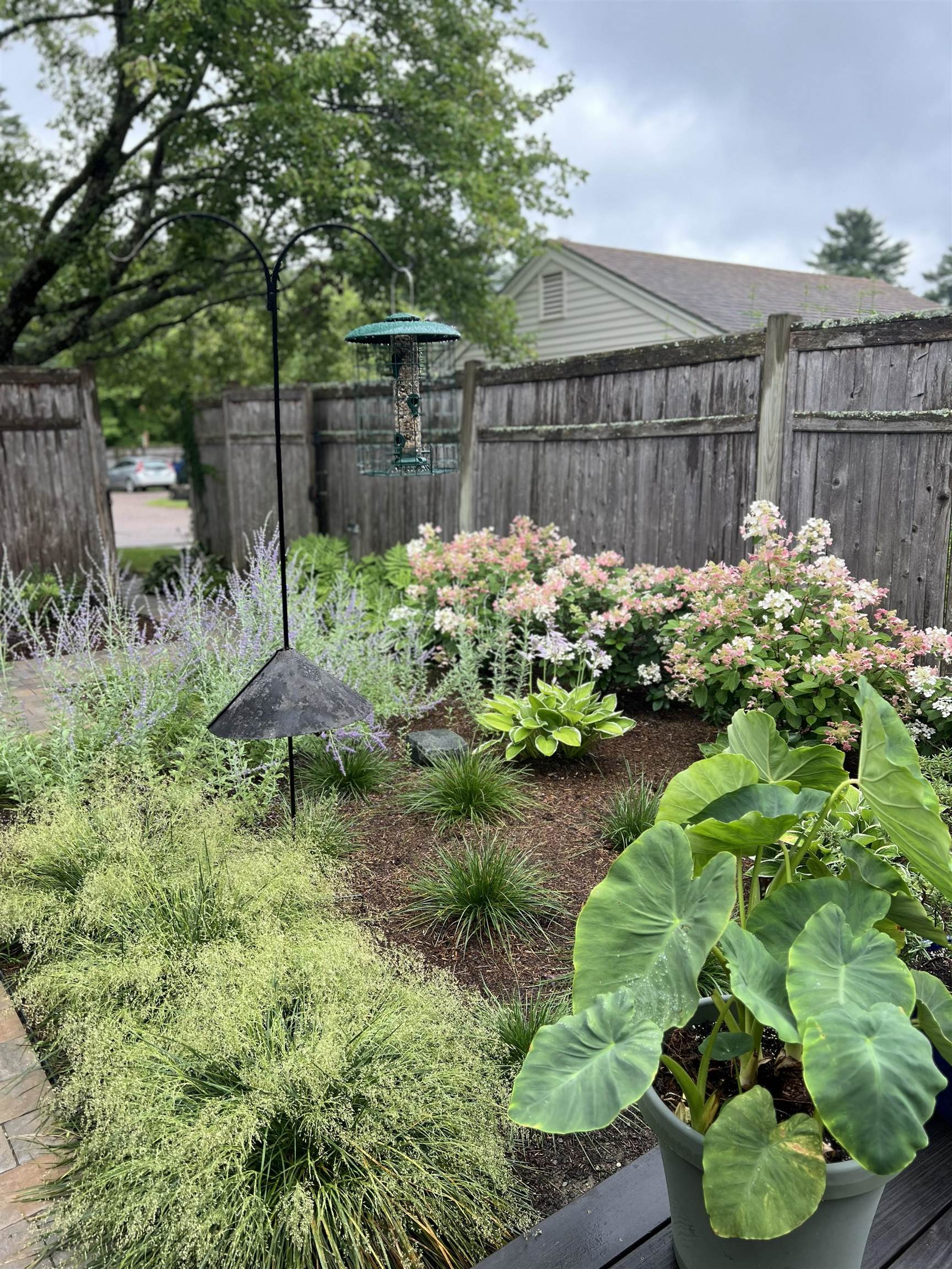 545 South Prospect Street, Unit 35 Burlington, VT 05401 - Photo 48 of 49