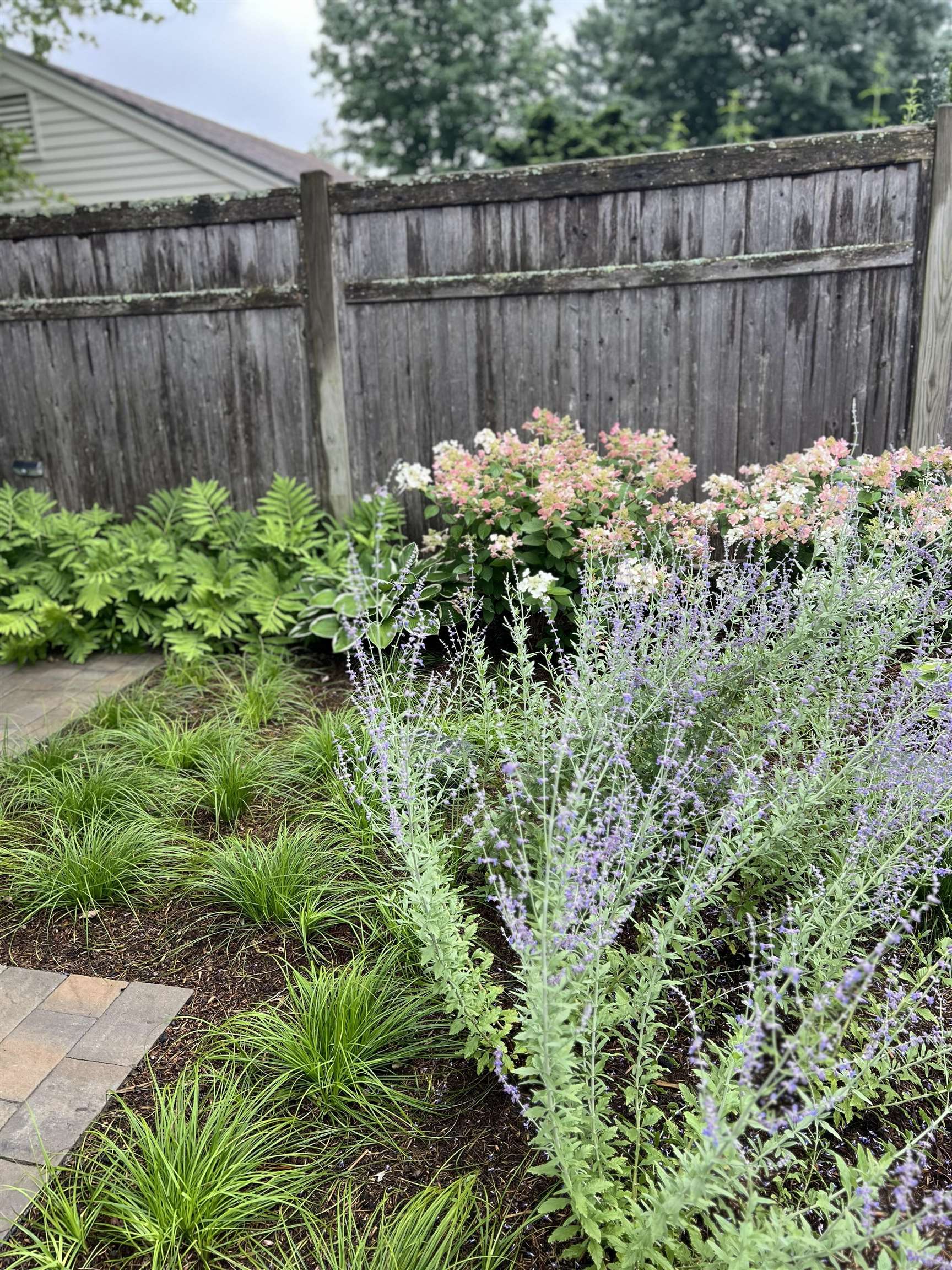 545 South Prospect Street, Unit 35 Burlington, VT 05401 - Photo 49 of 49