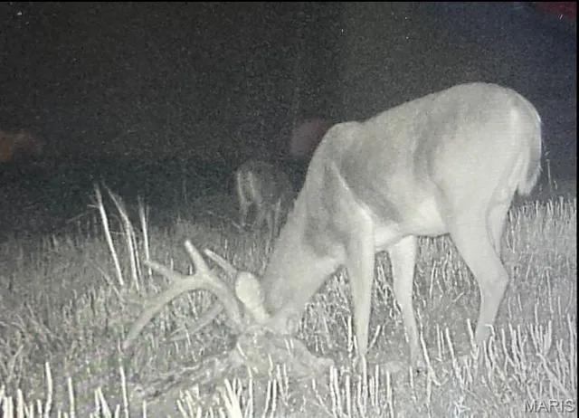 $149,000 | 15 N Highway, Ironton, MO 63650