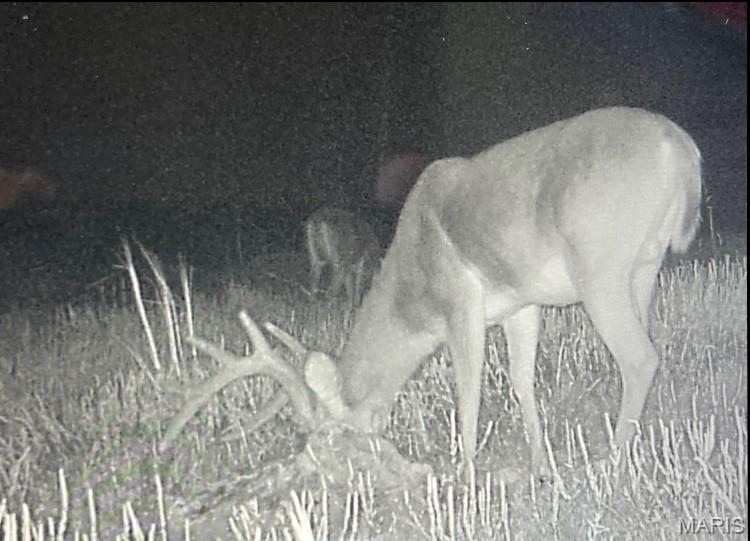 15 N Highway Ironton, MO 63650 - Photo 2 of 10