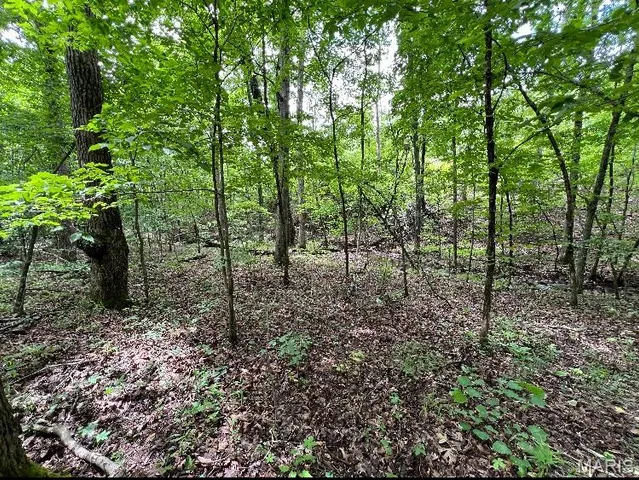 $149,000 | 15 N Highway, Ironton, MO 63650