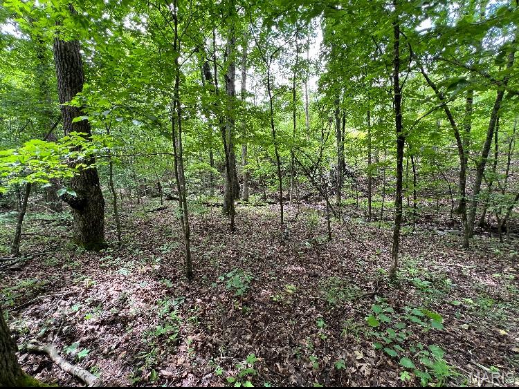 15 N Highway Ironton, MO 63650 - Photo 3 of 10