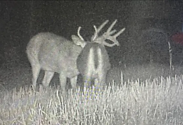 $149,000 | 15 N Highway, Ironton, MO 63650