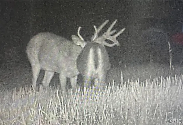 $149,000 | 15 N Highway, Ironton, MO 63650