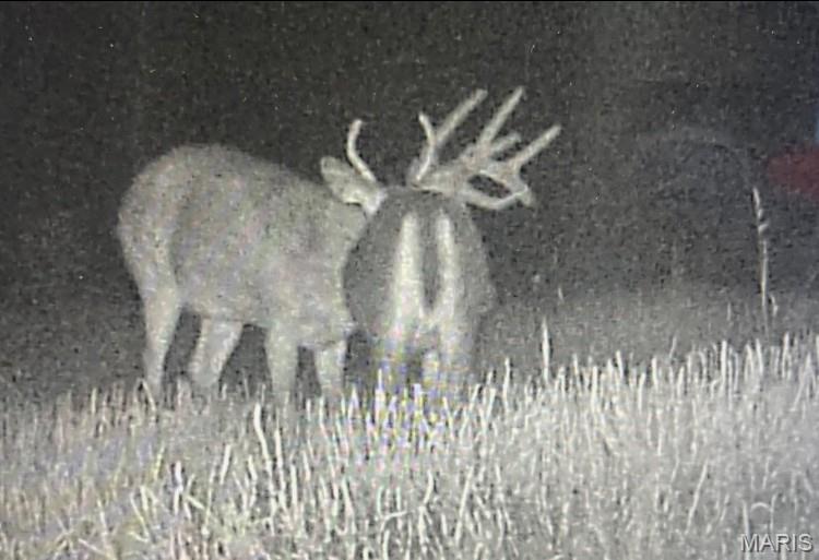 15 N Highway Ironton, MO 63650 - Photo 4 of 10