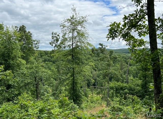 15 N Highway Ironton, MO 63650 - Photo 5 of 10