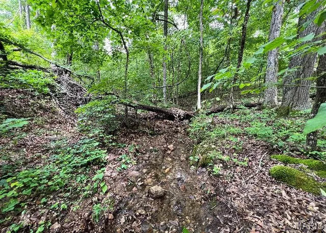 $149,000 | 15 N Highway, Ironton, MO 63650