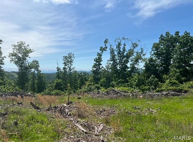 15 N Highway Ironton, MO 63650 - Photo 8 of 10