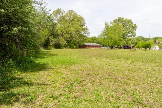 a view of an ocean from a yard