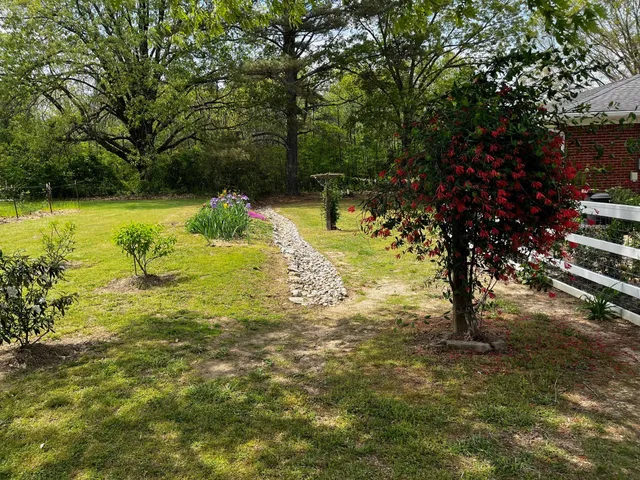 a view of a tree with a yard