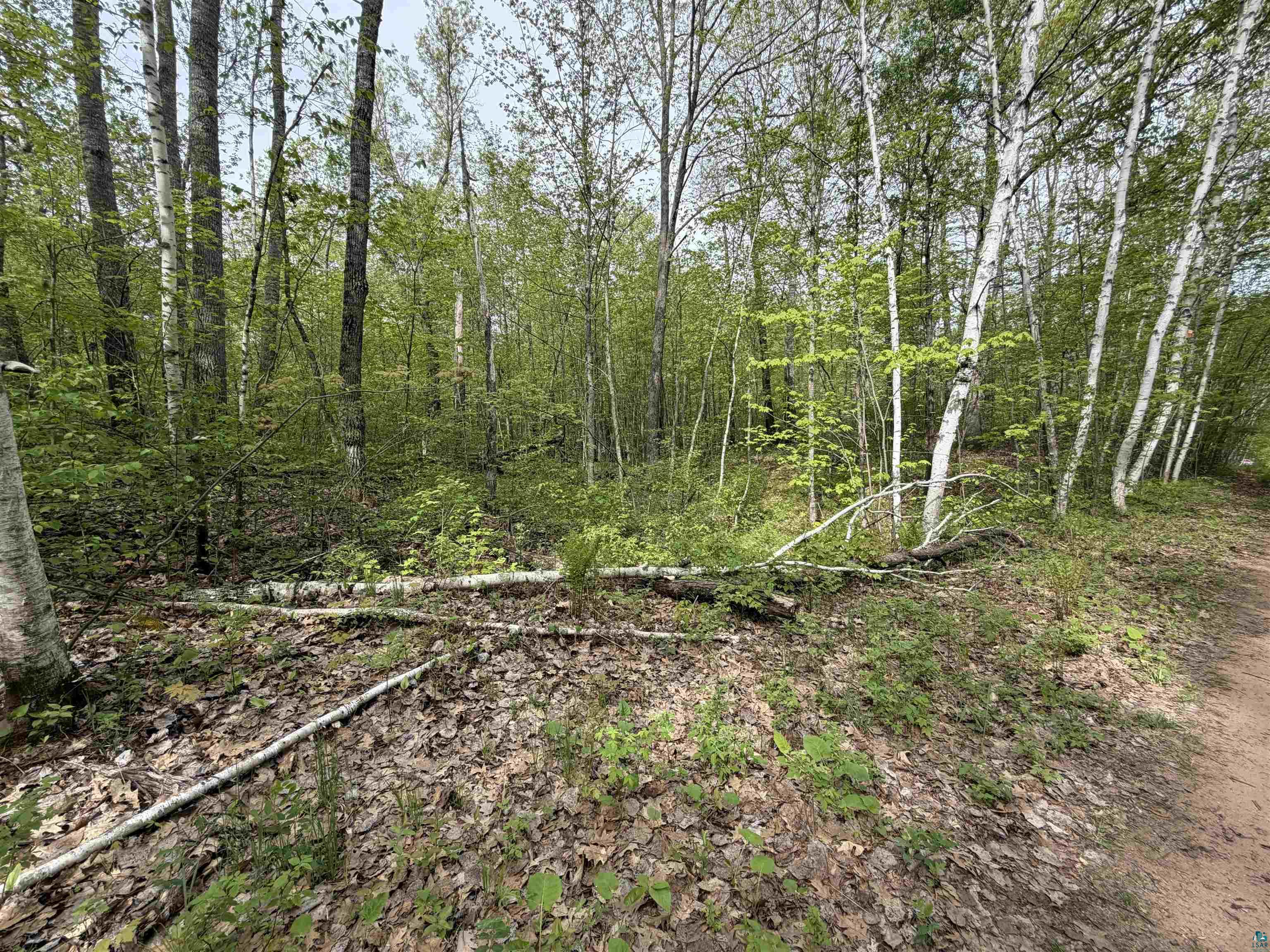 Lot 3 Peterson Road Minong, WI 54859 - Photo 3 of 4