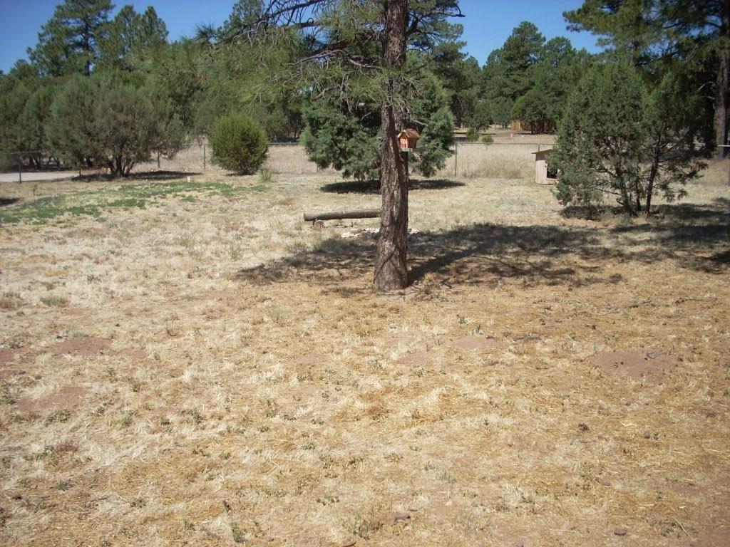 2229 Del Rio Circle Overgaard, AZ 85933 - Photo 18 of 28 Gallery Image 18