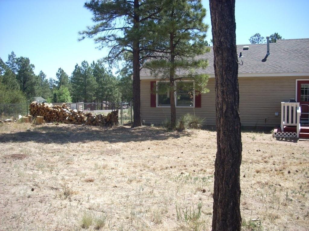 2229 Del Rio Circle Overgaard, AZ 85933 - Photo 20 of 28 Gallery Image 20