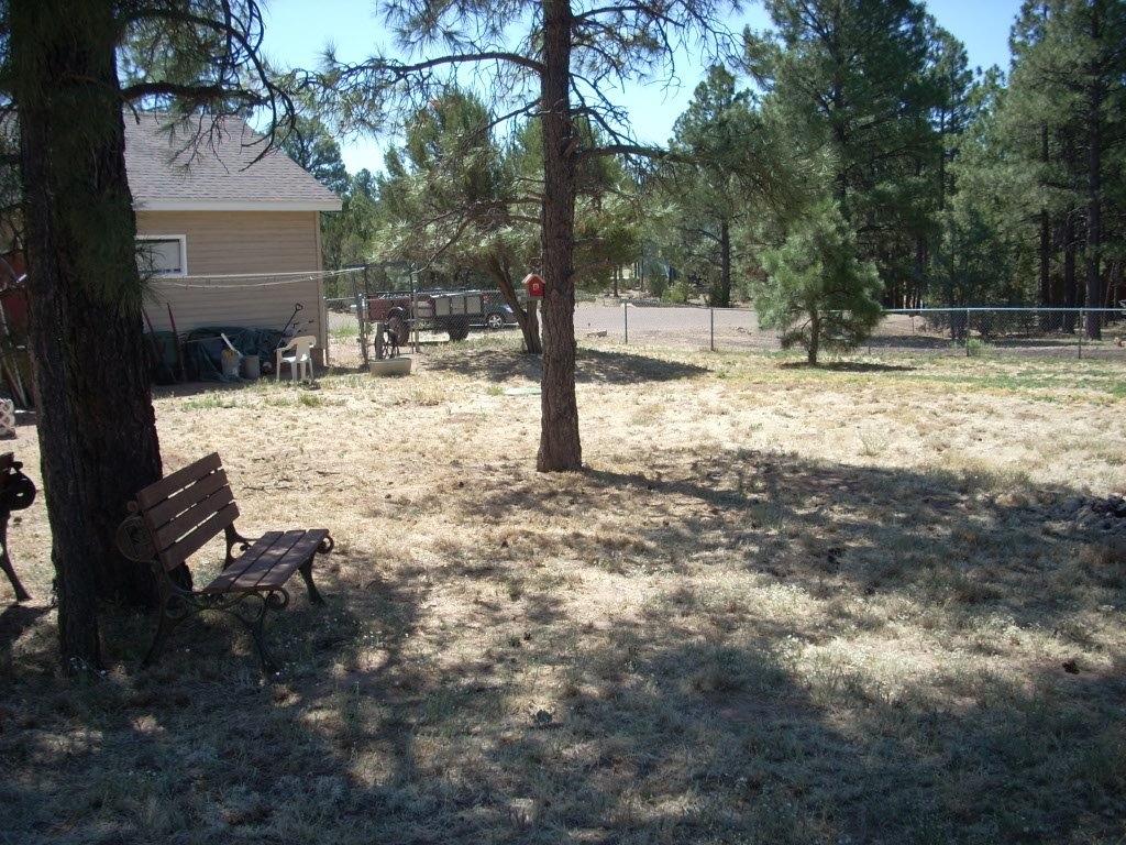 2229 Del Rio Circle Overgaard, AZ 85933 - Photo 21 of 28 Gallery Image 21