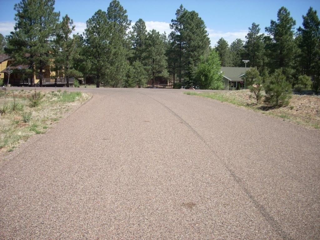 2229 Del Rio Circle Overgaard, AZ 85933 - Photo 25 of 28 Gallery Image 25