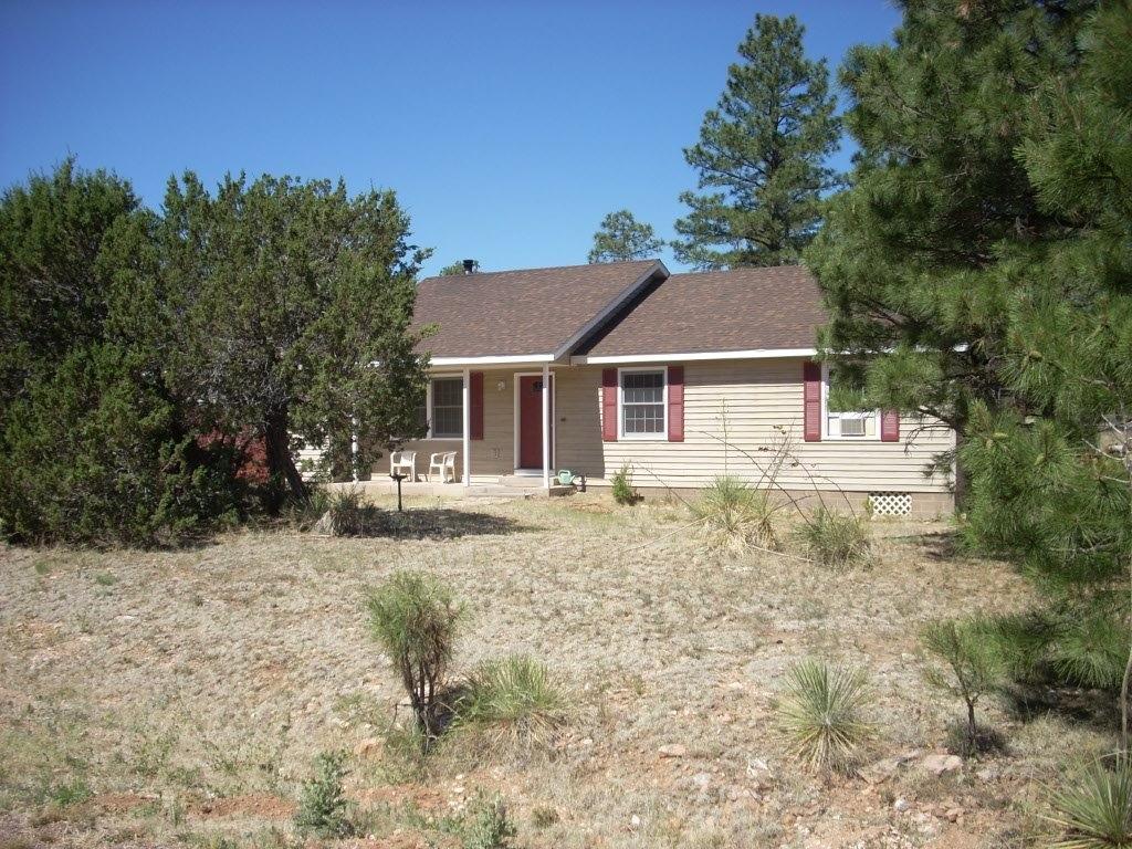 2229 Del Rio Circle Overgaard, AZ 85933 - Photo 26 of 28 Gallery Image 26