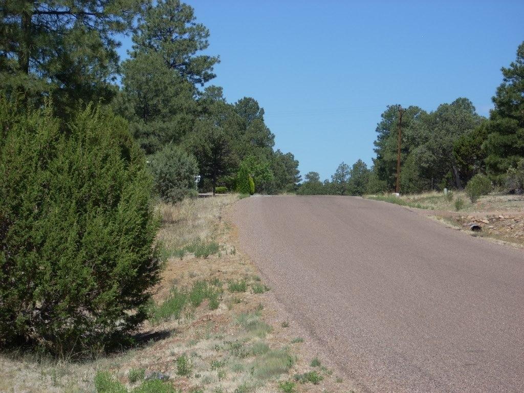2229 Del Rio Circle Overgaard, AZ 85933 - Photo 28 of 28 Gallery Image 28